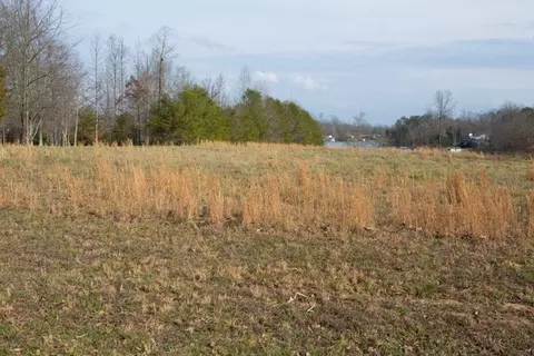 391 Shadow Ln, Lyman, SC 29365 photo 2