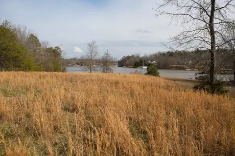 391 Shadow Ln, Lyman, SC 29365 photo 3