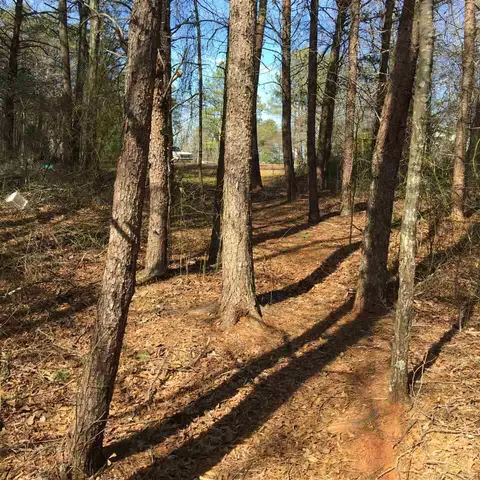 113 Lockman St, Inman, SC 29349 photo 2
