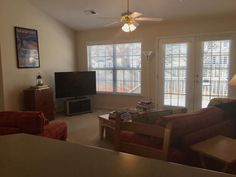 111 Steepleview Ct, Greer, SC 29651 photo 5
