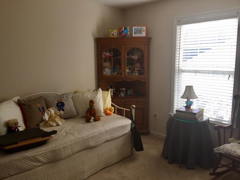 111 Steepleview Ct, Greer, SC 29651 photo 2