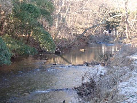 226 Capps Rd, Tryon, NC 28782 photo 2