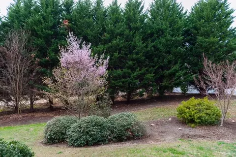265 Amanda Ct, Moore, SC 29369 photo 7