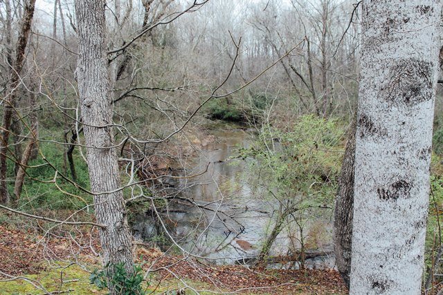 95 Hampton Rd, Lyman, SC 29365 photo 22