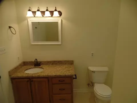 216 SW Fieldsedge Dr, Moore, SC 29369 photo 19
