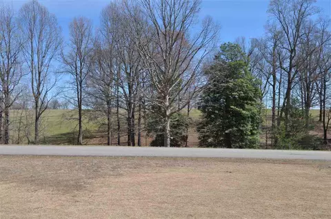 439 Rabbit Moffitt Rd, Chesnee, SC 29323 photo 9