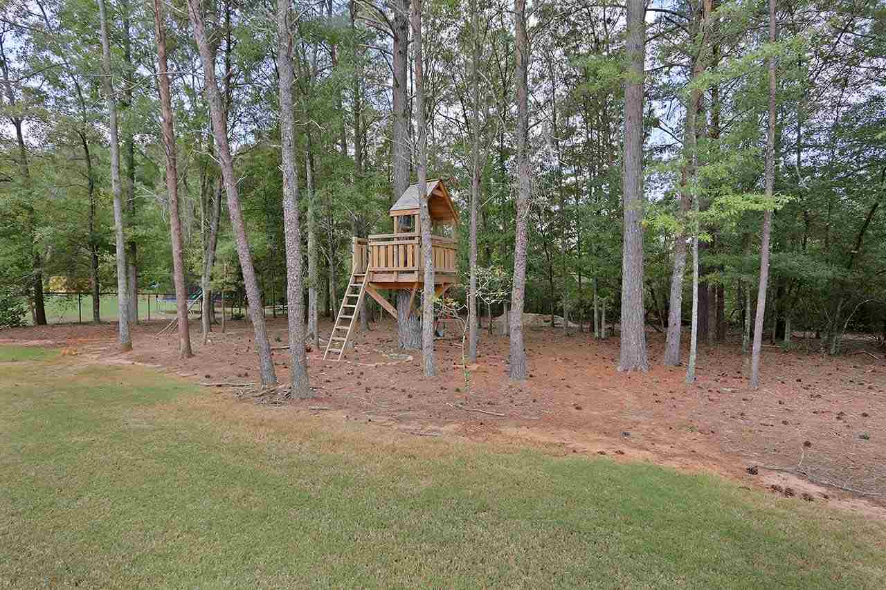 460 Sunset Pointe Dr, Lyman, SC 29365 photo 6