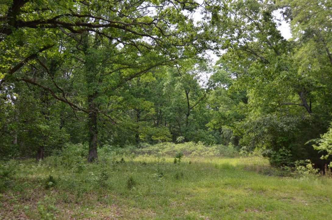 823 Linersville Rd, Buffalo, SC 29321 photo 7