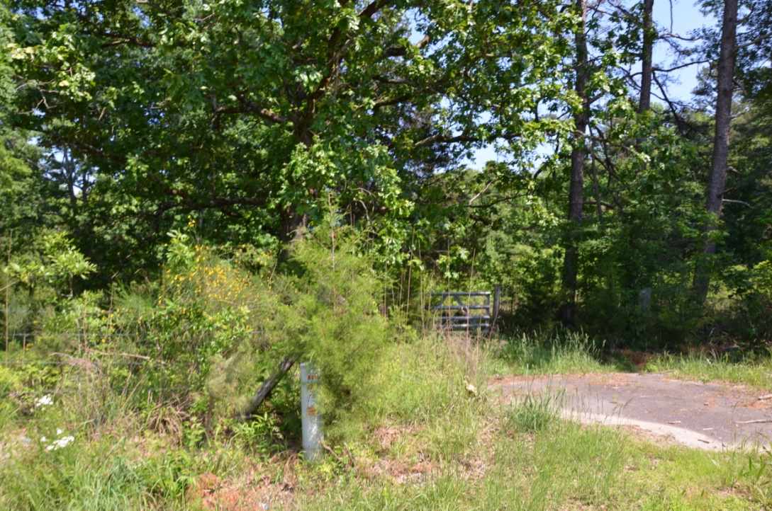 823 Linersville Rd, Buffalo, SC 29321 photo 14