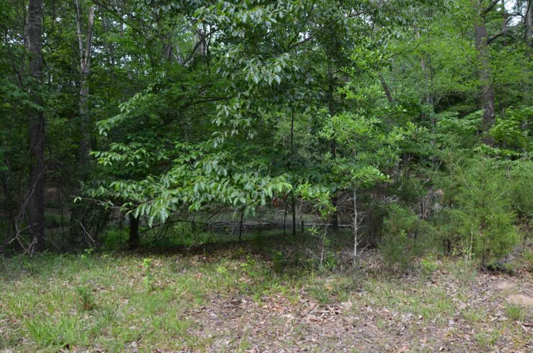 823 Linersville Rd, Buffalo, SC 29321 photo 10