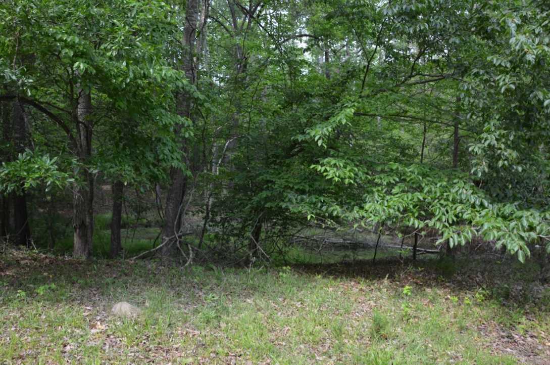 823 Linersville Rd, Buffalo, SC 29321 photo 11