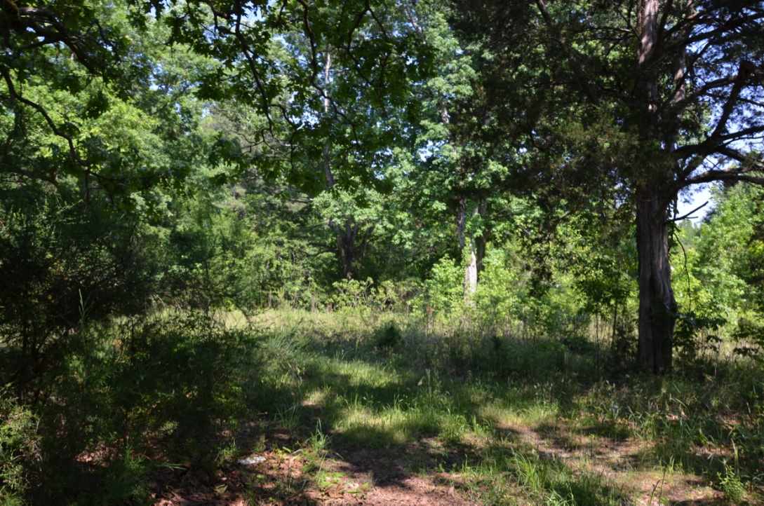 823 Linersville Rd, Buffalo, SC 29321 photo 15