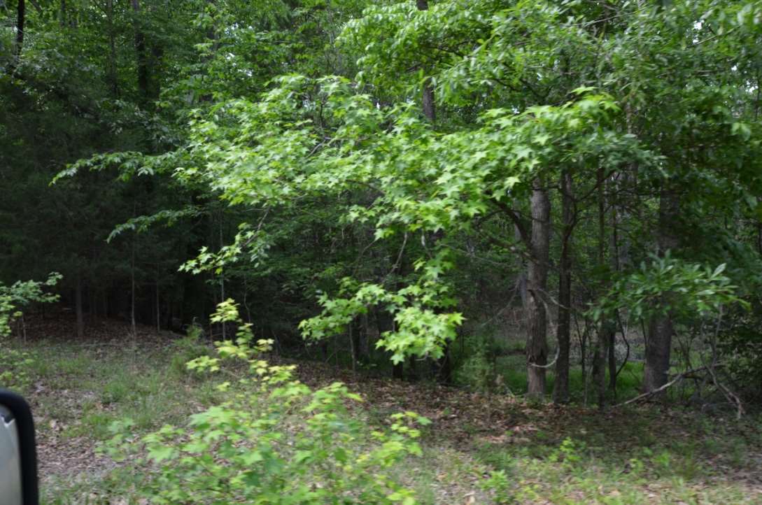 823 Linersville Rd, Buffalo, SC 29321 photo 8