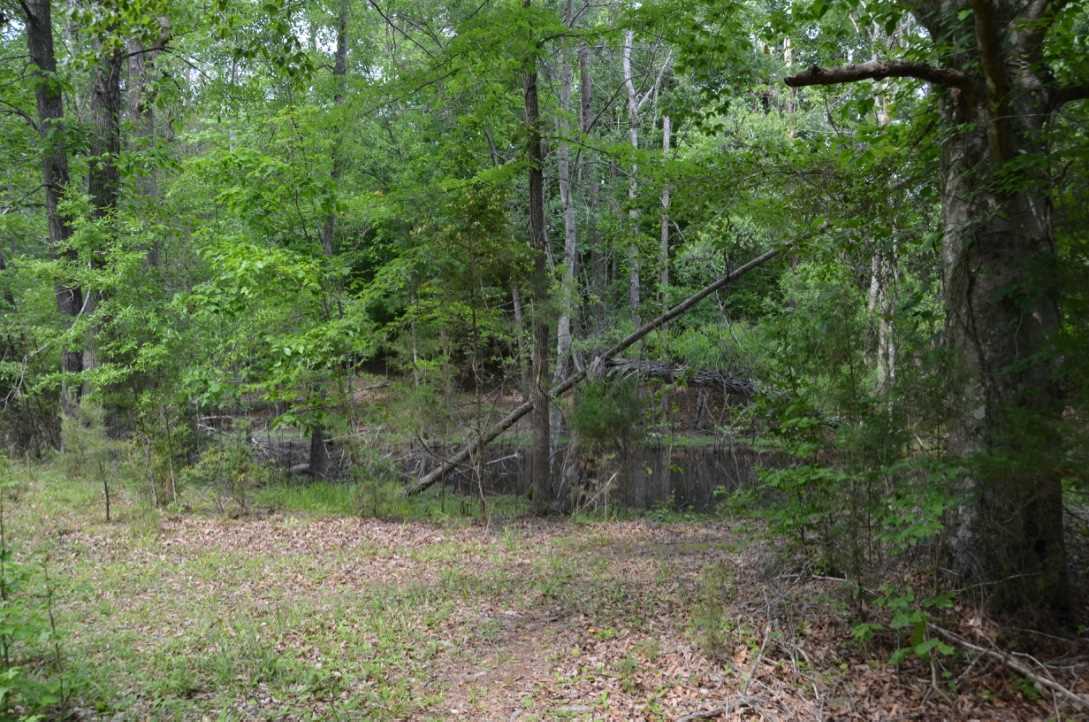 823 Linersville Rd, Buffalo, SC 29321 photo 12