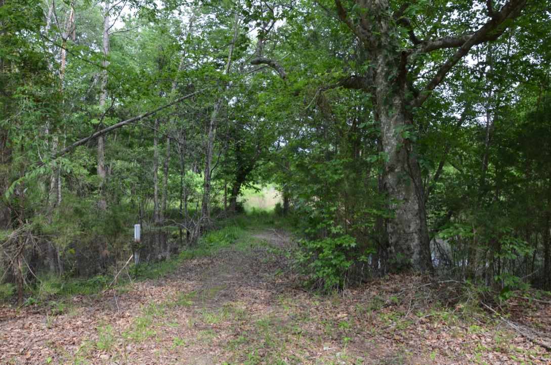 823 Linersville Rd, Buffalo, SC 29321 photo 9