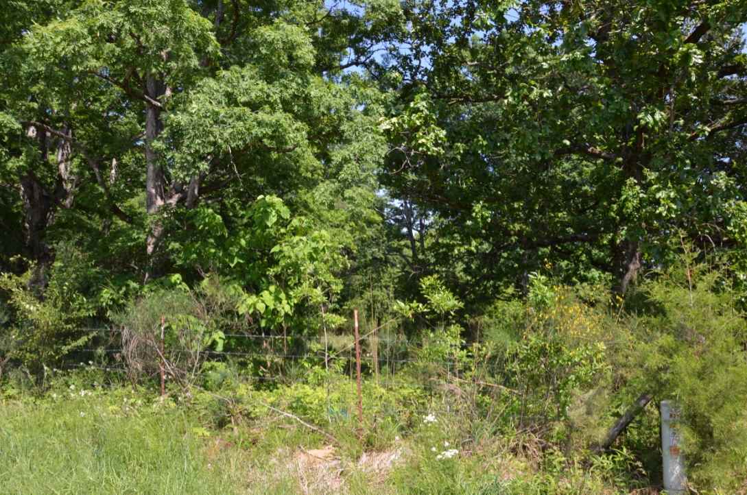 823 Linersville Rd, Buffalo, SC 29321 photo 13
