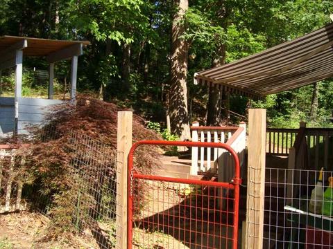 548 Warrior Dr, Tryon, NC 28782 photo 19