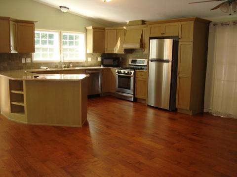 548 Warrior Dr, Tryon, NC 28782 photo 11