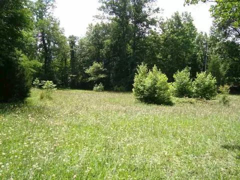 1057 Capps Rd, Tryon, NC 28782 photo 14