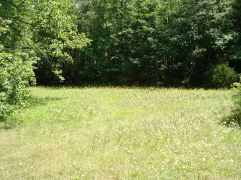 1057 Capps Rd, Tryon, NC 28782 photo 17
