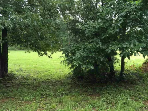 111 Huskey Rd, Chesnee, SC 29323 photo 1