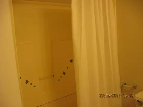 124 Tram St, Converse, SC 29329 photo 19