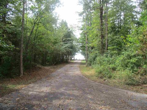 625 Lemonade Rd, Pacolet, SC 29372 photo 17