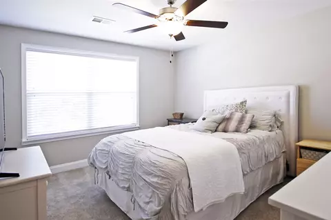 9 Spindleback Way, Greer, SC 29651 photo 22