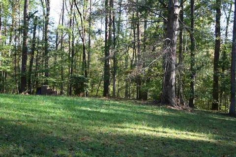 175 Shady Ln, Enoree, SC 29335 photo 21