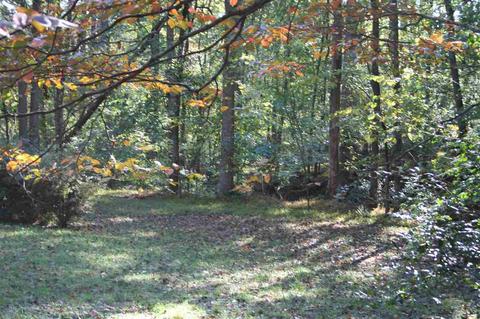 175 Shady Ln, Enoree, SC 29335 photo 22