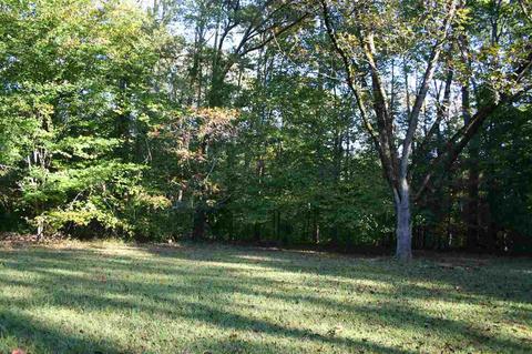 175 Shady Ln, Enoree, SC 29335 photo 23