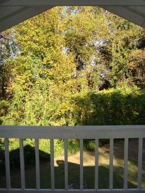 75 Lanier St, Tryon, NC 28782 photo 15