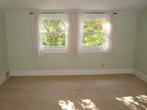 75 Lanier St, Tryon, NC 28782 photo 10