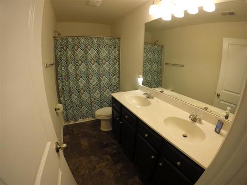 119 Silver Dapple Way, Moore, SC 29369 photo 17