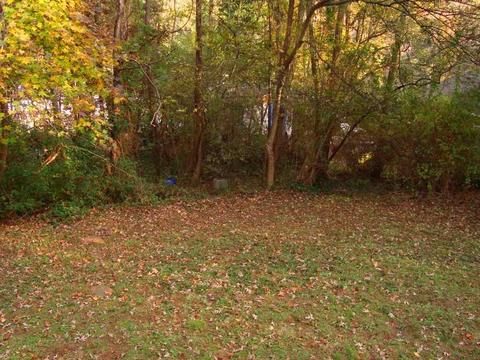 135 Mcdonald St, Tryon, NC 28782 photo 21