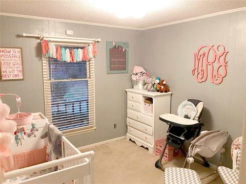 155 John High Rd, Campobello, SC 29322 photo 10