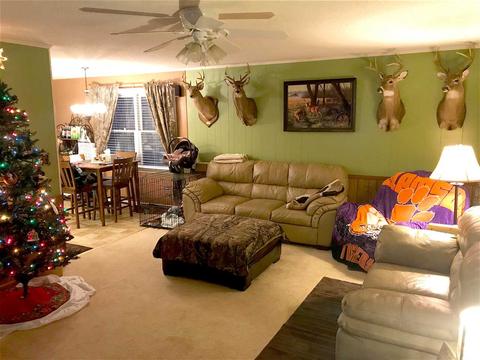 155 John High Rd, Campobello, SC 29322 photo 4