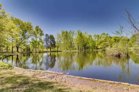 230 Ware Rd, Chesnee, SC 29323 photo 18