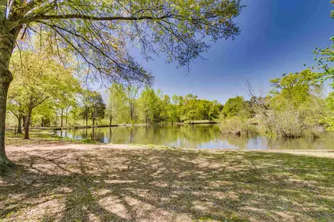 230 Ware Rd, Chesnee, SC 29323 photo 27