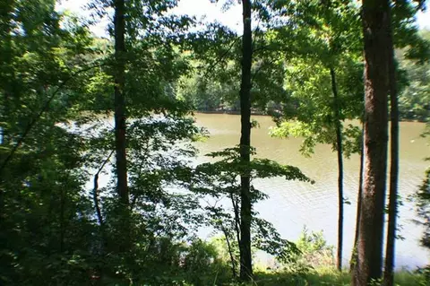 134 Bridgeview Rd, Chesnee, SC 29323 photo 3