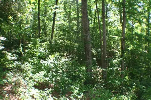 134 Bridgeview Rd, Chesnee, SC 29323 photo 5