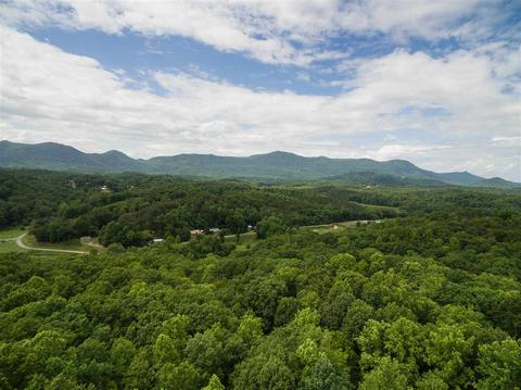 382 Vintage Rd, Tryon, NC 28782 photo 30