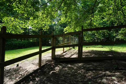 243 Sandy Plains Rd, Tryon, NC 28782 photo 33