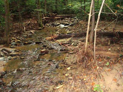 77 Brookwood Dr, Tryon, NC 28782 photo 31