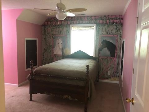 210 Whitfield Rd, Honea Path, SC 29654 photo 9