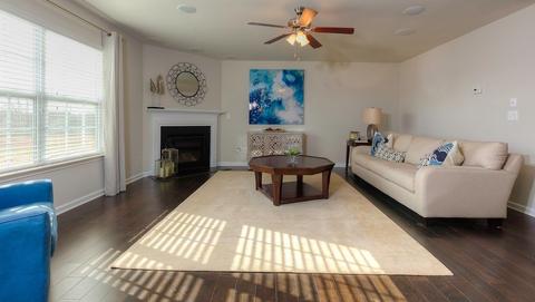 101 Prairie Wolf Run, Duncan, SC 29334 photo 8