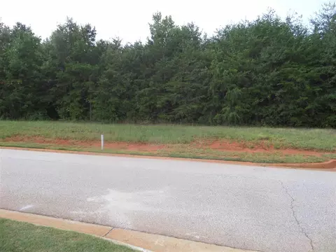 349 Reflection Dr, Lyman, SC 29365 photo 1