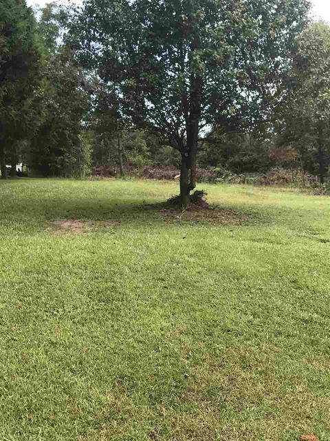 3545 Brown Rd, Greer, SC 29651 photo 26