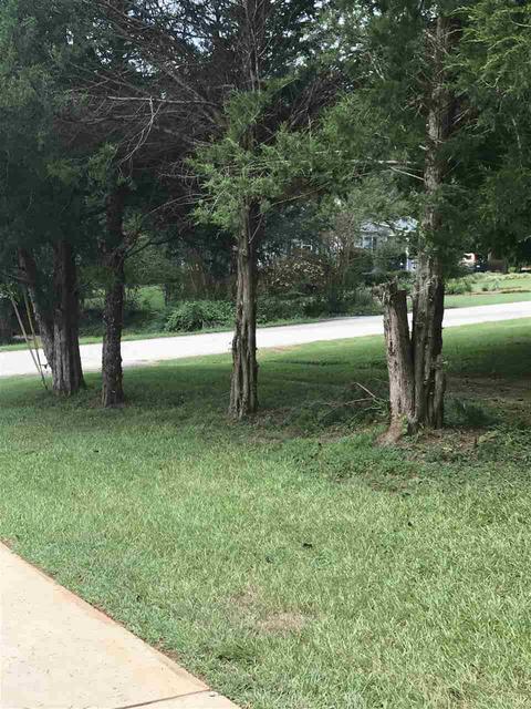 3545 Brown Rd, Greer, SC 29651 photo 33