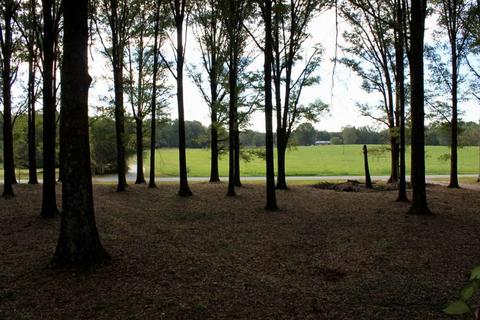 870 Settle Rd, Inman, SC 29349 photo 4